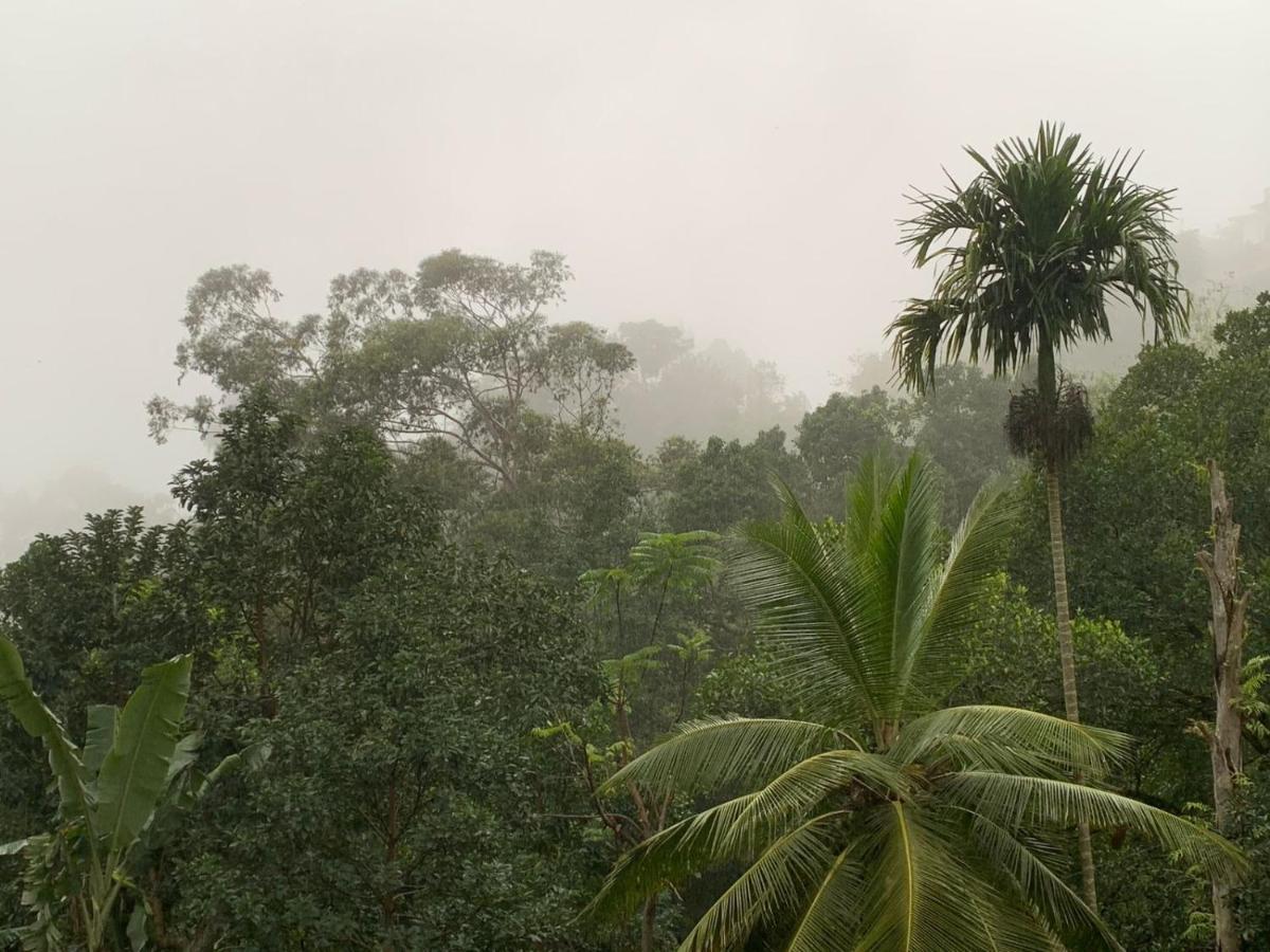Jungle View Cottage เอลลา ภายนอก รูปภาพ