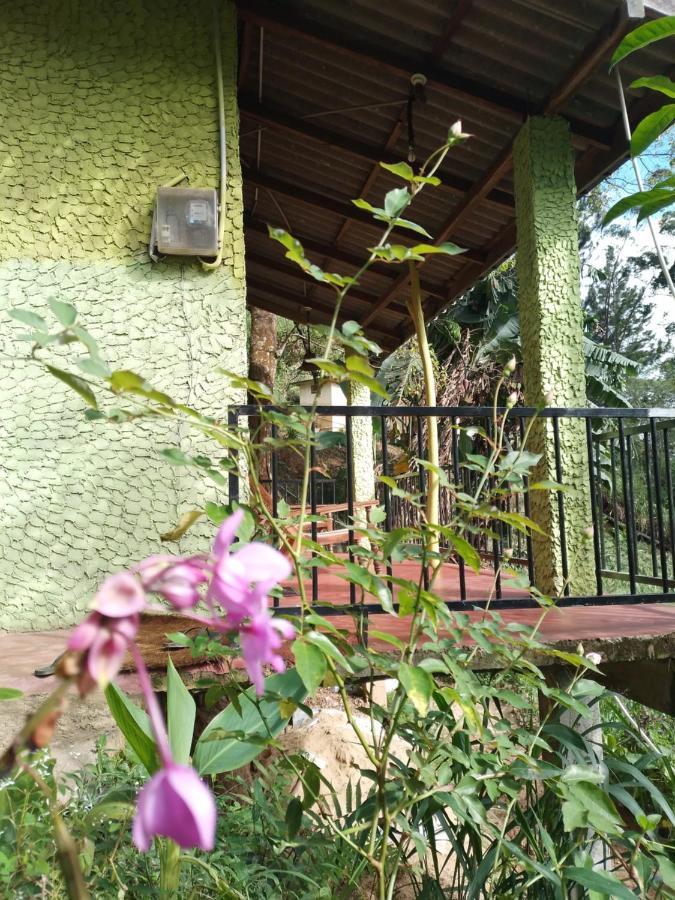 Jungle View Cottage เอลลา ภายนอก รูปภาพ