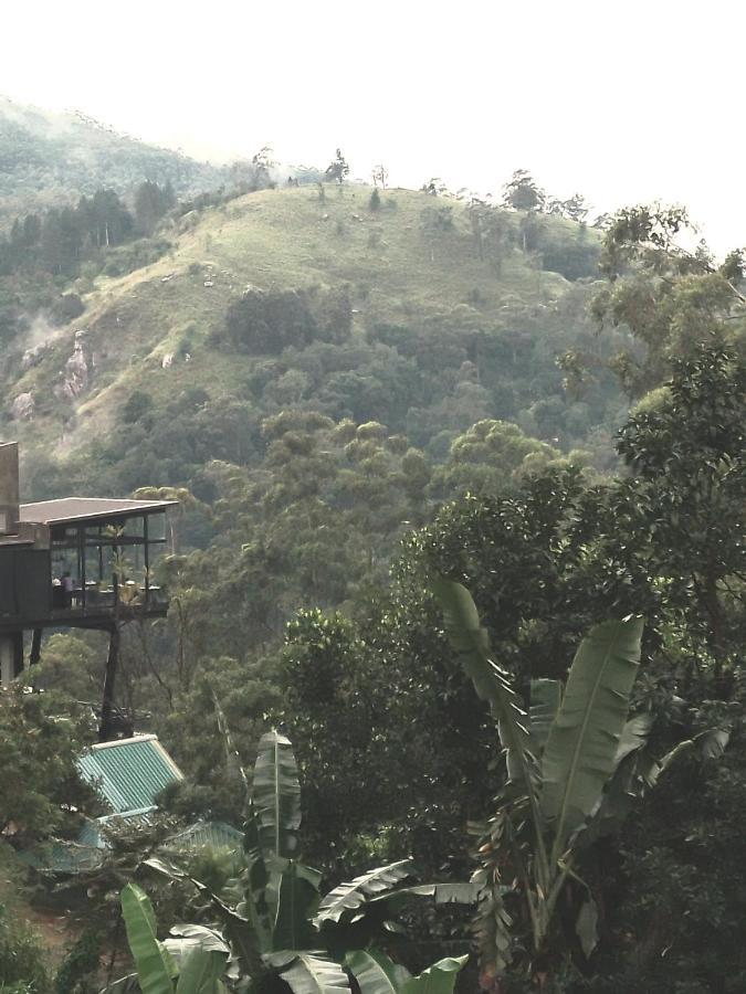 Jungle View Cottage เอลลา ภายนอก รูปภาพ
