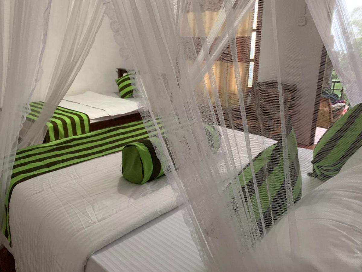Jungle View Cottage เอลลา ภายนอก รูปภาพ
