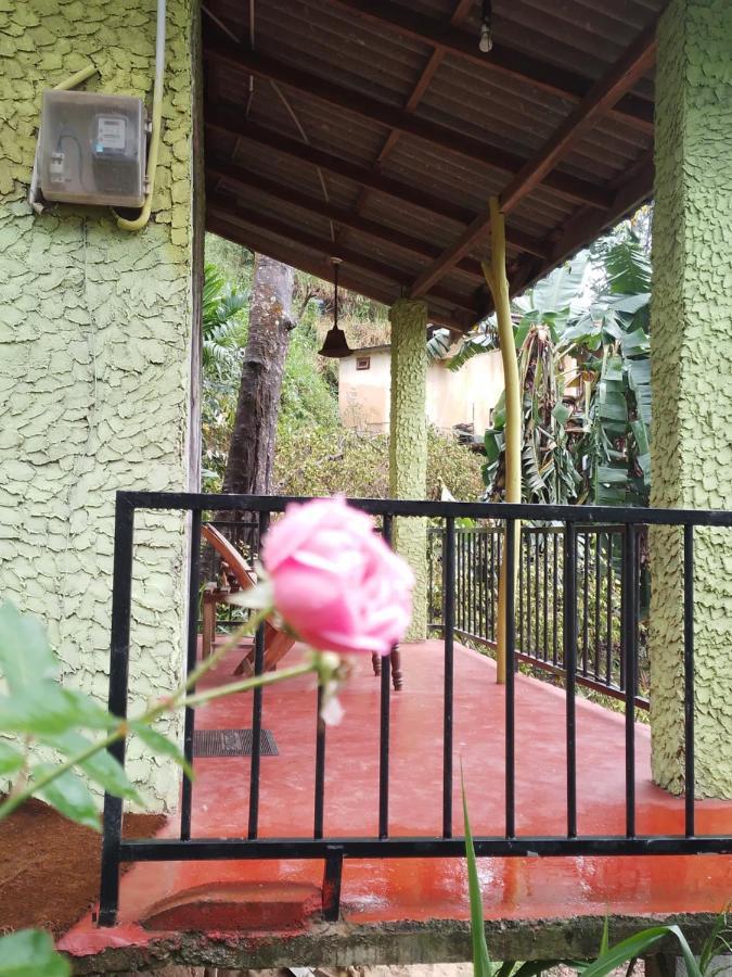Jungle View Cottage เอลลา ภายนอก รูปภาพ