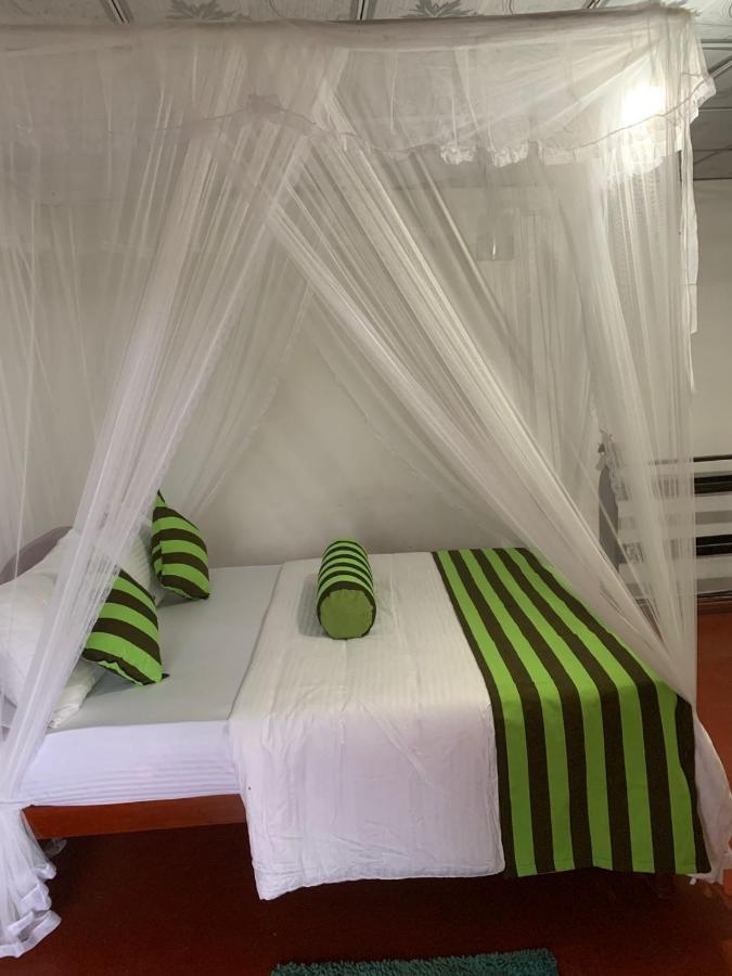 Jungle View Cottage เอลลา ภายนอก รูปภาพ