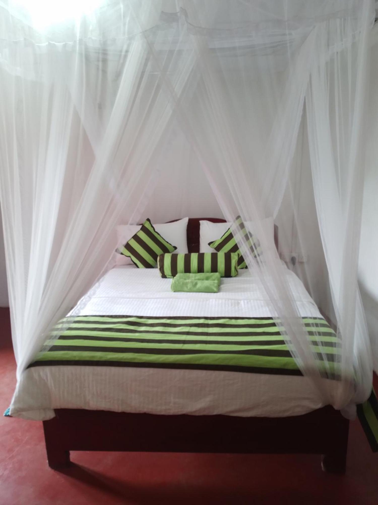 Jungle View Cottage เอลลา ภายนอก รูปภาพ